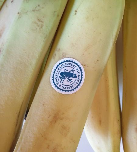 bananas-14.jpg