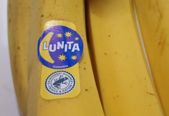 bananas-20260323_132108.jpg
