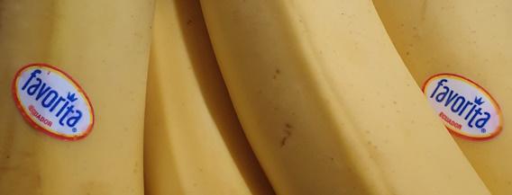 bananas-20260516_175125.jpg
