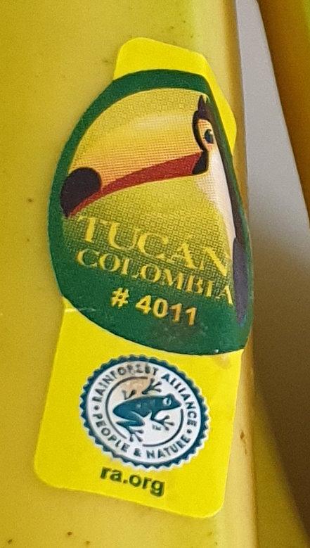 bananas-TUCAN-Colombia-4011.jpg