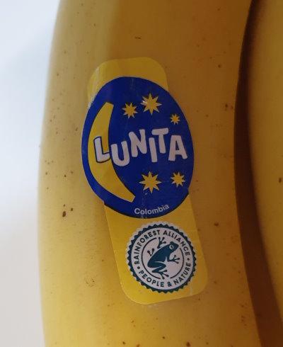 bananas-bananen-LUNITA-aus-Kolombien.jpg