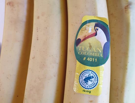 bananas20260227_115026.jpg