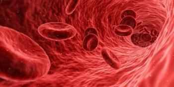 blood cells streaming in a blood vessel