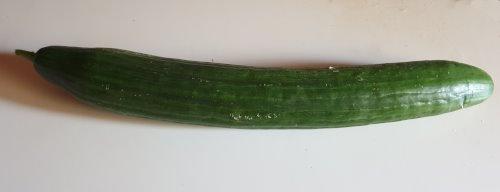 cucumber-2.jpg