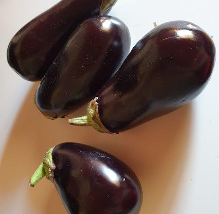 eggplants-1.jpg