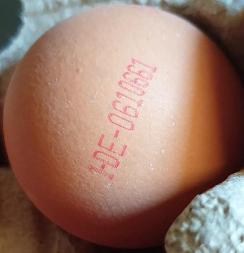 eggs-20260407_115831.jpg
