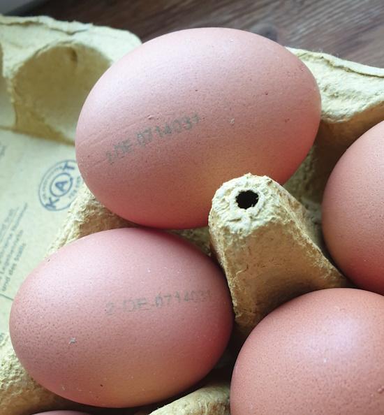 eier-brown-2026-02-03.jpg