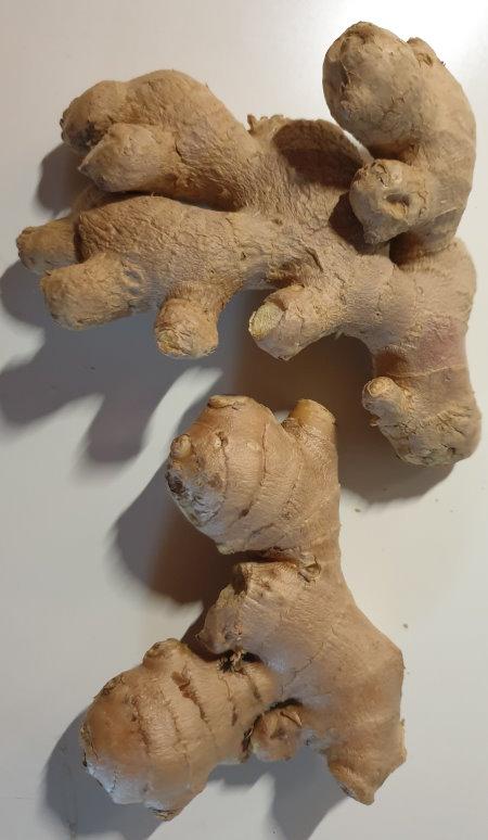 Ginger Ingwer
