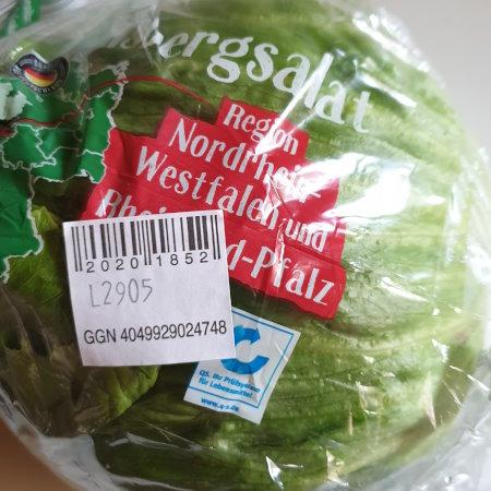 iceberg-salat-Regional.jpg