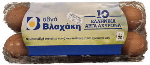 20250319_080552.png