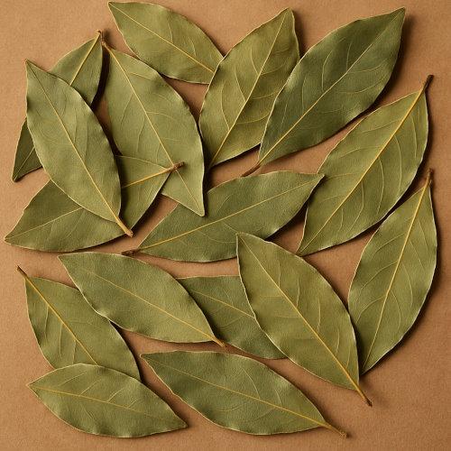 Laurel leaves