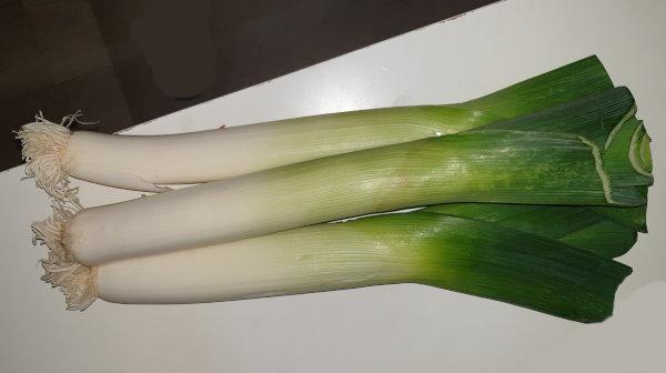 Πράσα Leeks Poireaux Porree 2