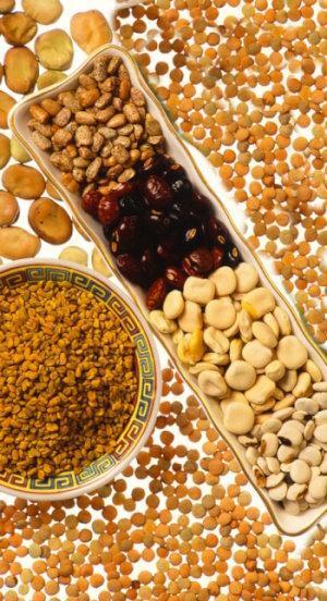 Legumes
