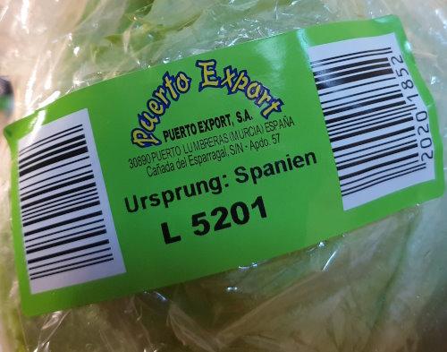 lettuce-2025-12-29.jpg