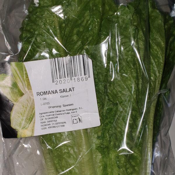 Lettuce Romana salat 2