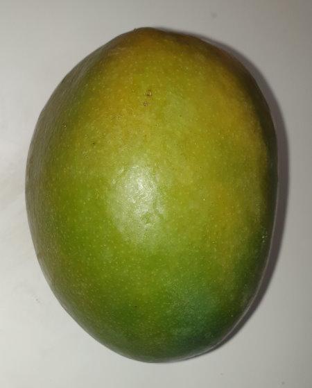 mango-13.jpg
