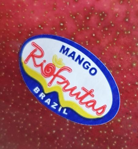 mango-20260429_183352.jpg