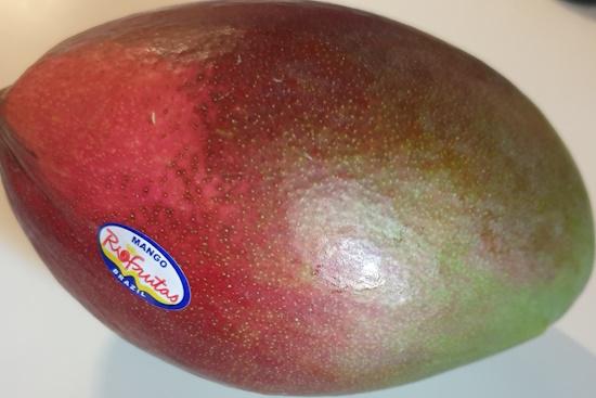 mango-20260429_183355.jpg