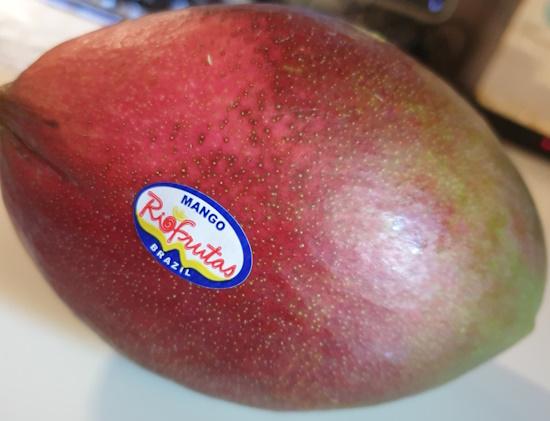 mango-20260429_183358.jpg
