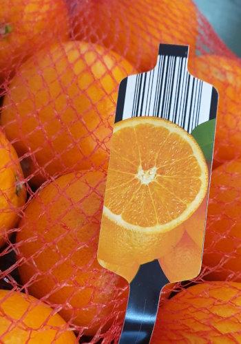 oranges-20241681-2.jpg