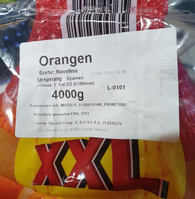 oranges-2026-01-02.jpg