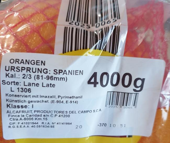 oranges-20260402_130105.jpg