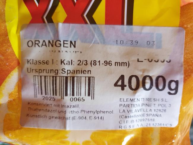 oranges-22-1-2026.jpg