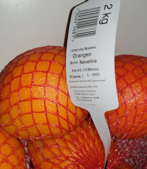 oranges-navelina-spain-73-88mm.jpg