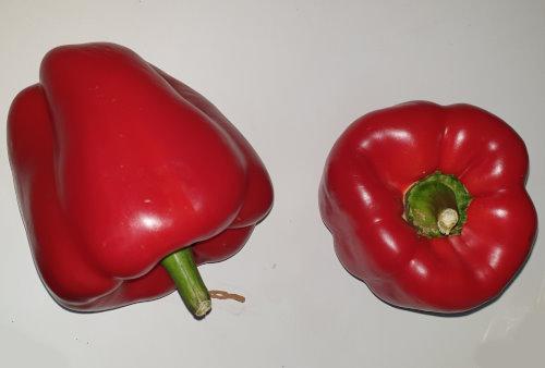 Paprika rot / Πιπεριές κόκκινες / Red Pepper / Poivrons rouges