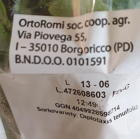 rucola-20260331_115929.jpg