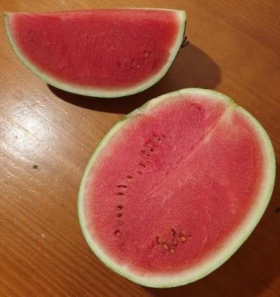 watermelon cut in slices