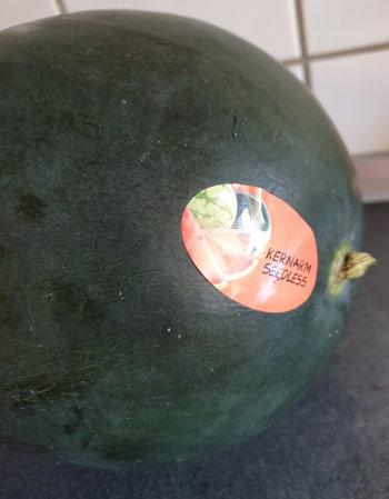 Watermelon 3