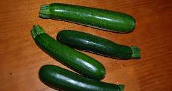 Zucchini